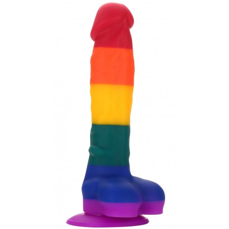 Gode Ventouse Réaliste Pride Colourful 17,5 cm