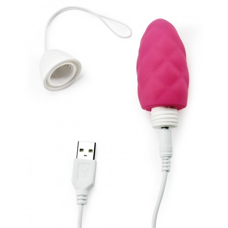 Oeuf Vibrant Rechargeable Télécommandé Ijoy