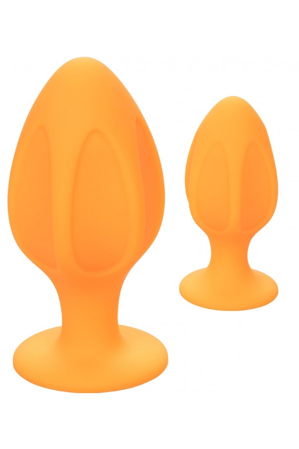 Set de 2 Plugs Cheeky en Silicone