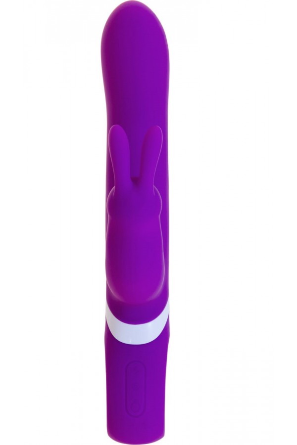 Vibromasseur Rechargeable Naughty Rabbit