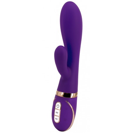 Vibromasseur Rechargeable Vibe Couture Duo Rhapsody