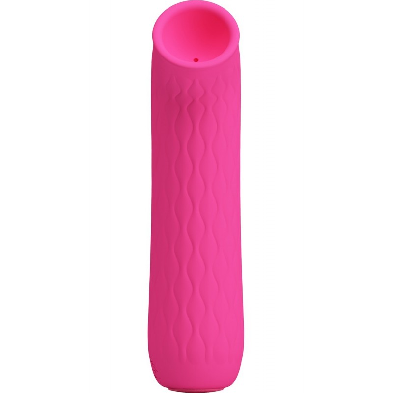 Suceur de Clitoris Rechargeable Ford